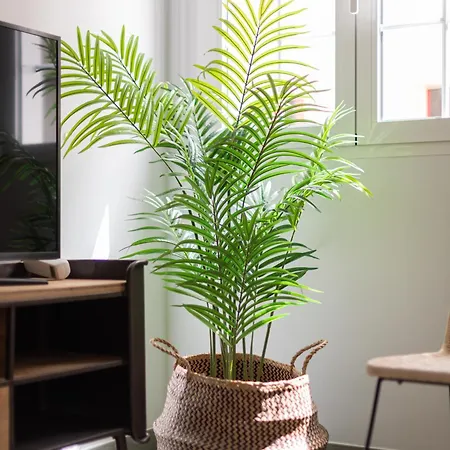 Apartamento City, Sun And Living Las Palmas de Gran Canaria